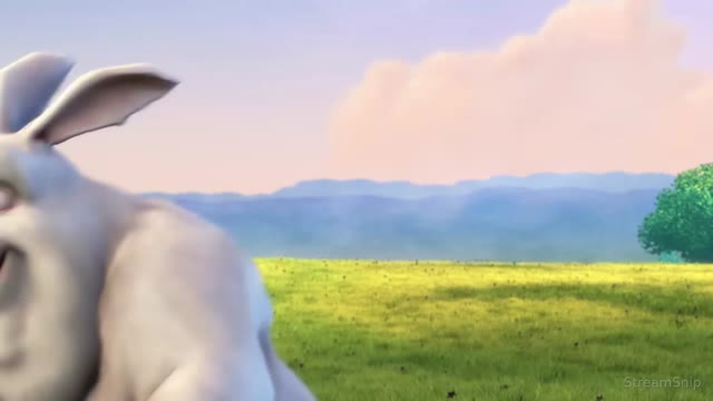 Morning in the meadow